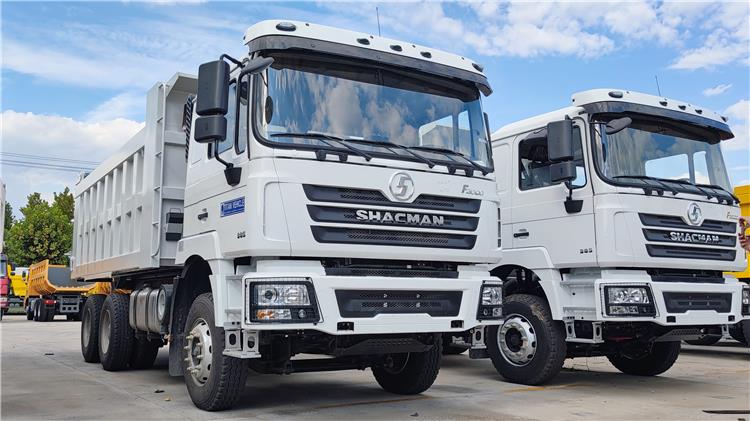 Dump Truck Shacman Trucks for Sale in Trinidad and Tobago